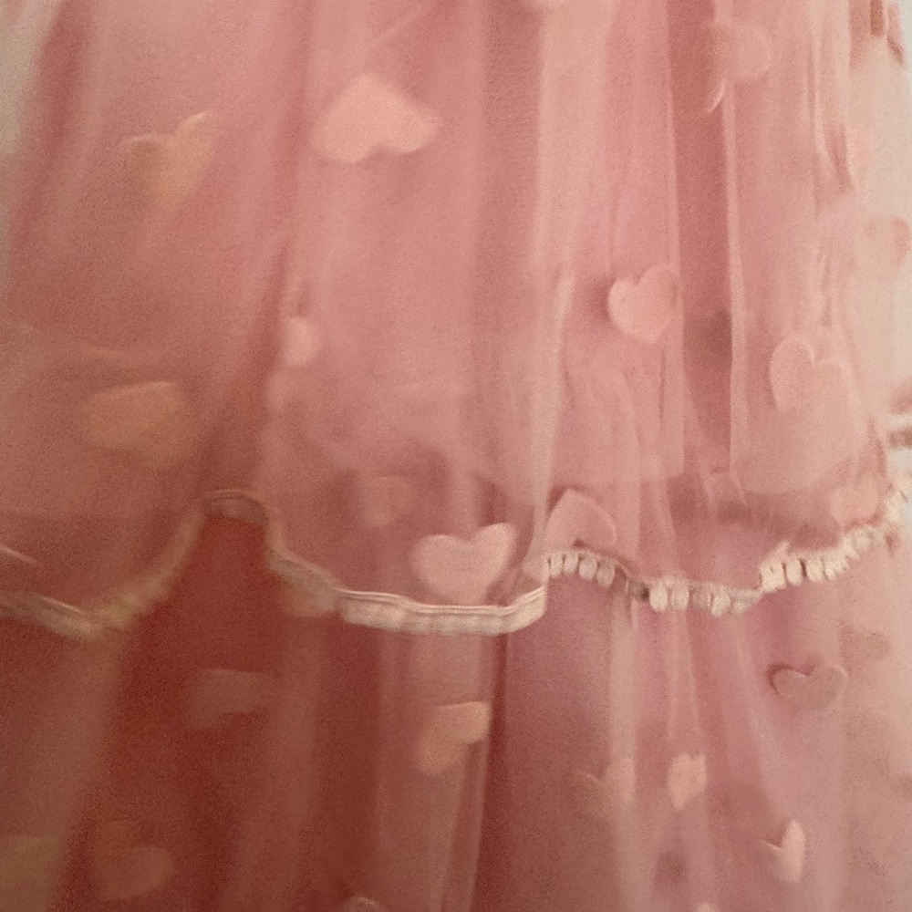 NWOT Ivy City Co Blush Heart Appliqué Dress - Picture 10 of 10